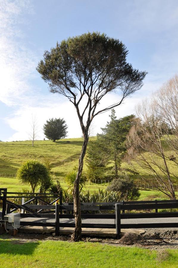 Matapouri & Tutukaka Spectacular Coastal Views- Aroha Luxury Guest Suite Exteriör bild